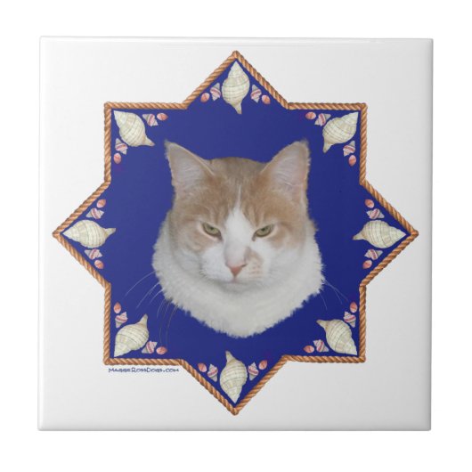 Nautische Alfie Kat Tegeltje (Voorkant)