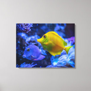 Nautische foto's Marine Animal Photography Fish Pi Canvas Afdruk