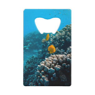 Nautische foto's Marine Animal Photography Fish Pi Creditkaart Flessenopener