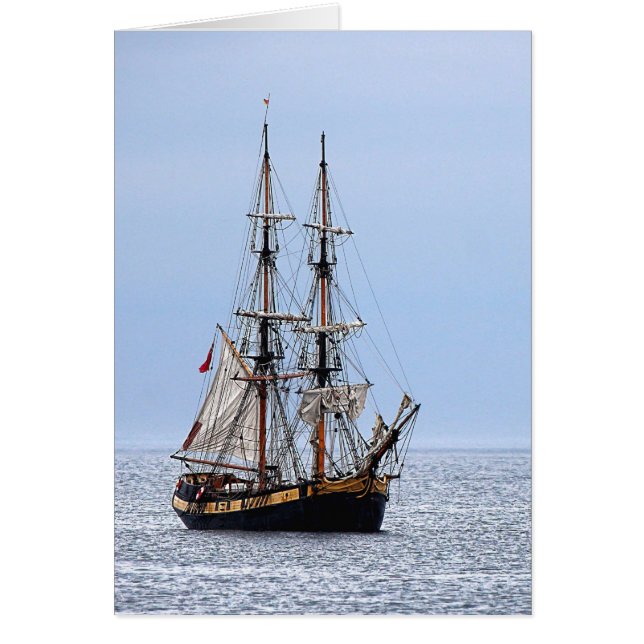 Nautische Gevist blauwe plekken (Voorkant)