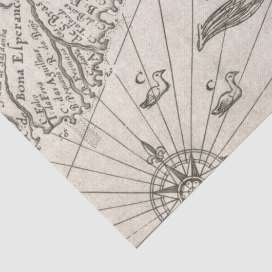  Nautische kaart Tissuepapier (Detail)