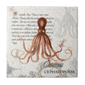 Nautische kaart 🐙 Victoriaans  octopus Tegeltje (Voorkant)