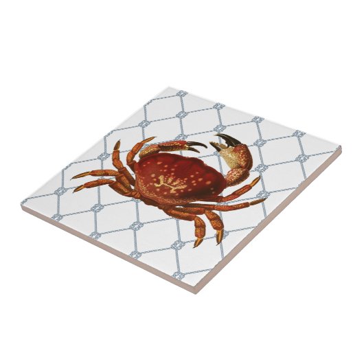 Nautische krab tegeltje (Zijkant)