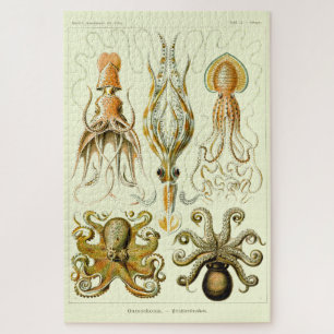  Nautische octopus door Ernst Haeckel Legpuzzel