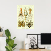 Nautische octopus door Ernst Haeckel Poster (Thuiskantoor)