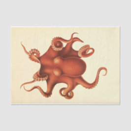 Nautische Octopus Ephemera Decoupage Rood Tissuepapier