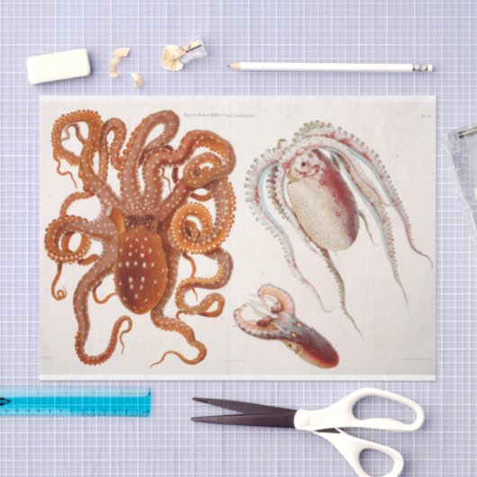 Nautische Octopus Squid Ephemera Decoupage Rood Tissuepapier (Craft)