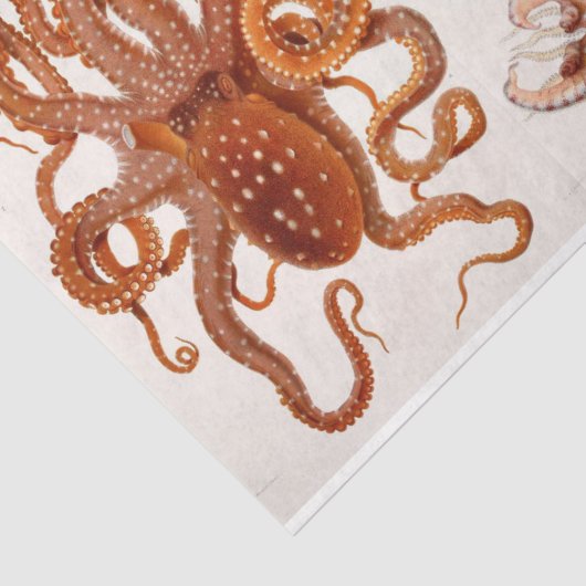 Nautische Octopus Squid Ephemera Decoupage Rood Tissuepapier (Detail)