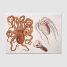 Nautische Octopus Squid Ephemera Decoupage Rood Tissuepapier