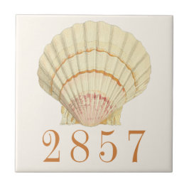 Nautische Scallop Seashell House Adres Tegeltje