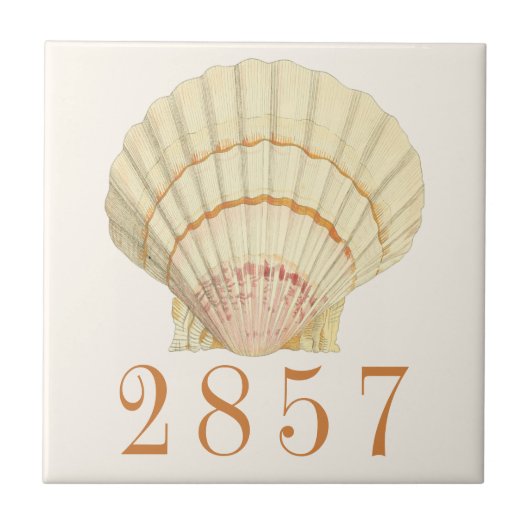 Nautische Scallop Seashell House Adres Tegeltje (Voorkant)