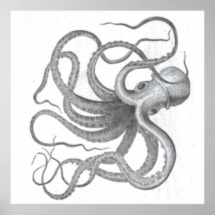 Nautische steampunk octopus  kraken tekening poster