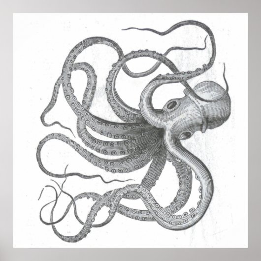 Nautische steampunk octopus kraken tekening poster (Voorkant)