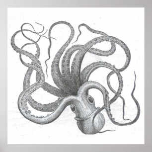 Nautische steampunk octopus kraken tekening poster