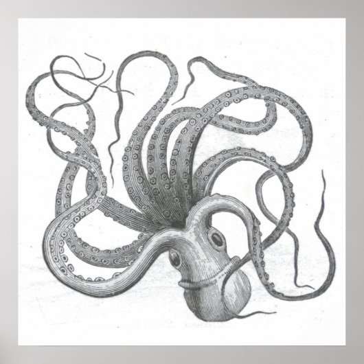 Nautische steampunk octopus kraken tekening poster (Voorkant)