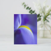 Nauwe details van een blauwe vlag iris. briefkaart (Staand voorkant)