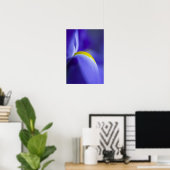 Nauwe details van een blauwe vlag iris. poster (Thuiskantoor)