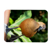 Nauwe fluitenzen op spoor magneet (Horizontaal)