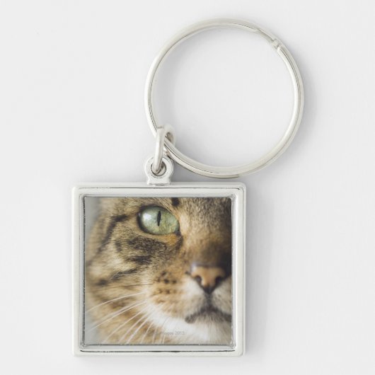 Nauwe kat (focus op oog) sleutelhanger (Voorkant)
