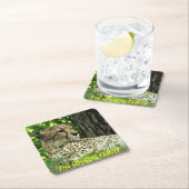 Nauwe Leopard Kartonnen Onderzetters (Insitu)