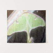 Nauwe maanvlinderopname wandkleed (Voorkant (horizontaal))