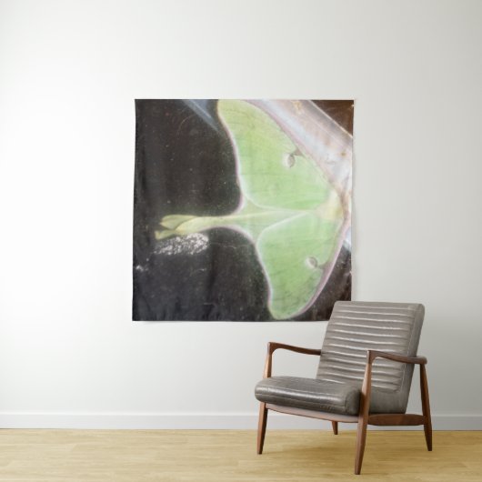 Nauwe opname van een maanvlinder wandkleed (In Situ (horizontaal))