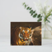 Nauwe Vibrant Tiger Briefkaart (Staand voorkant)