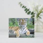 Nauwe Vibrant Tiger Briefkaart (Staand voorkant)
