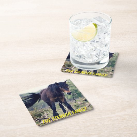 Nauwe Wild Horse Kartonnen Onderzetters (Insitu)