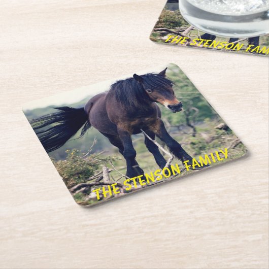 Nauwe Wild Horse Kartonnen Onderzetters (Schuin)