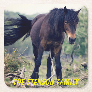 Nauwe Wild Horse Kartonnen Onderzetters