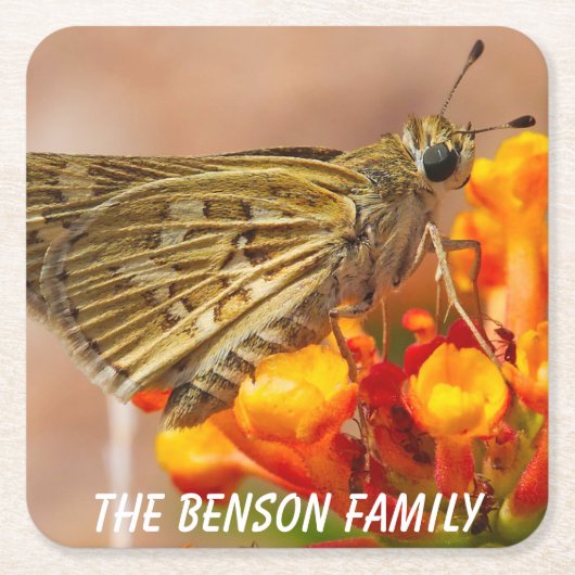 Nauwe Wild Moth Kartonnen Onderzetters (Voorkant)