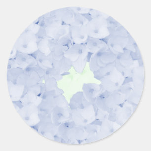 Nauwelijks Blauwe Hortensia's Klassieke Ronde Stic Sticker