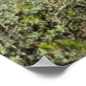 Navagio Beach, Zakynthos, Griekenland Poster (Hoek)