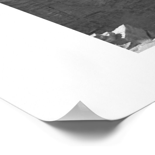 Navajo Bridge Poster (Hoek)