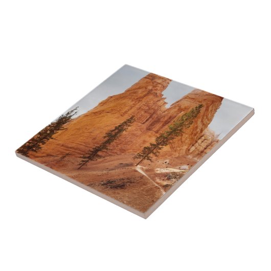 Navajo Loop Trail, Bryce Canyon Tegeltje (Zijkant)