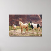 Navajo-paarden lopen vrij op de Canyon-vloer Canvas Afdruk (Voorkant)