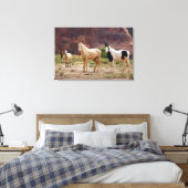 Navajo-paarden lopen vrij op de Canyon-vloer Canvas Afdruk (Insitu (Slaapkamer))