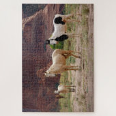 Navajo-paarden lopen vrij op de Canyon-vloer Legpuzzel (Verticaal)