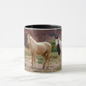 Navajo-paarden lopen vrij op de Canyon-vloer Mok (Midden)