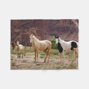 Navajo-paarden lopen vrij op de canyonbodem fleece deken