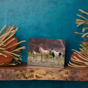 Navajo-paarden lopen vrij op de canyonbodem fotoplaat