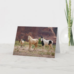 Navajo-paarden lopen vrij op de canyonbodem kaart