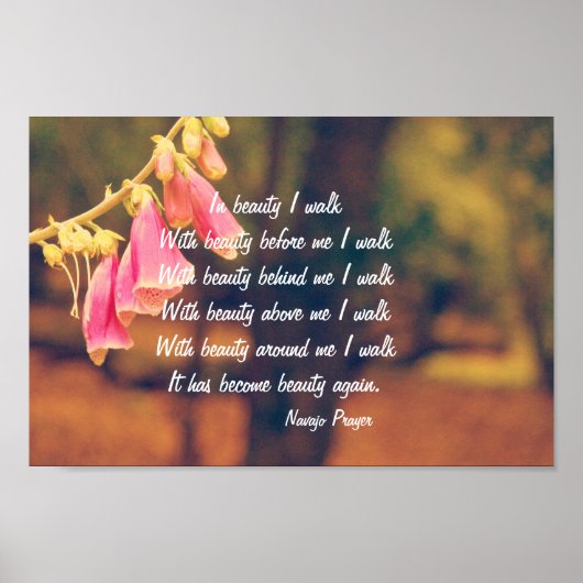 Navajo Prayer Walk in Beauty Poster (Voorkant)
