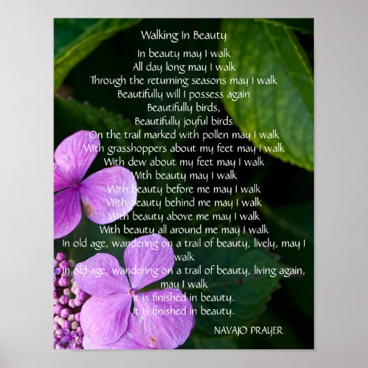 Navajo Prayer Walk in Beauty Poster (Voorkant)