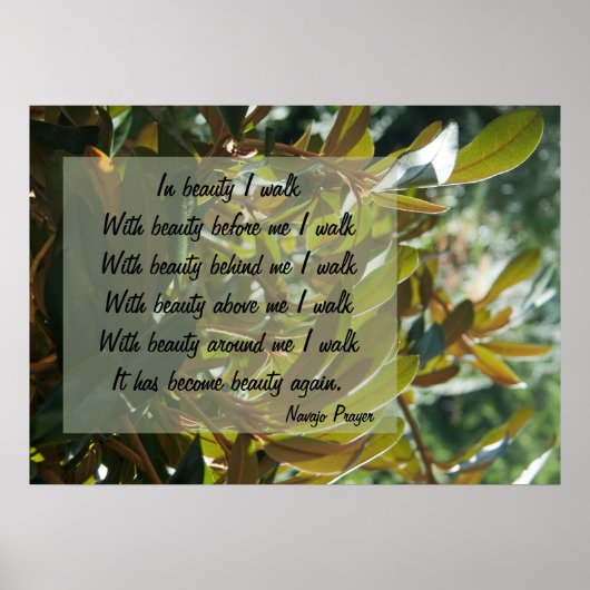 Navajo Prayer Walk in Beauty Poster (Voorkant)