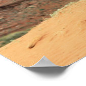 Navajo Reservation Land Poster (Hoek)