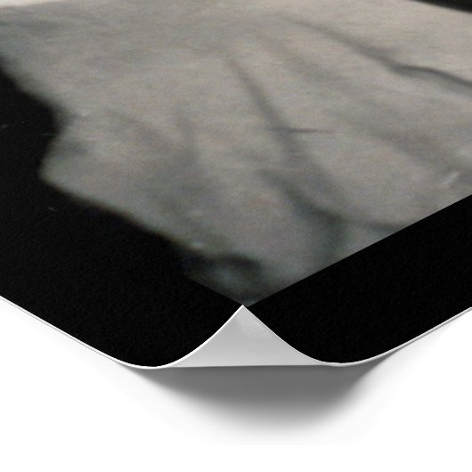 Naval Academy Sponsors Foto 1908 Poster (Hoek)