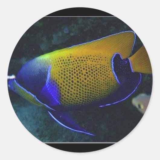 Navarchus Ronde Sticker (Voorkant)