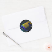 Navarchus Ronde Sticker (Envelop)